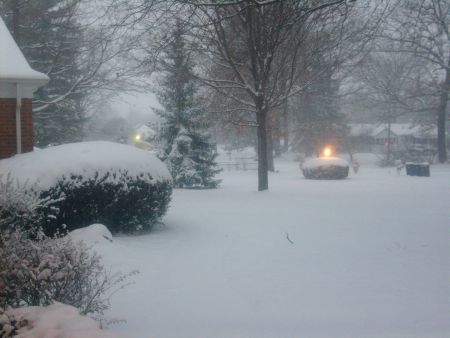 yard-with-snow.jpg