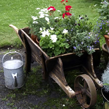 wheel barrel planter