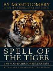 spell-of-the-tiger