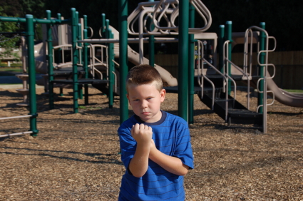 bully on the playground bully on the playground