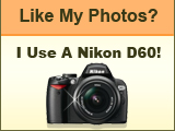 Nikon D60 Button