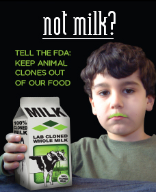 No Cloned Milk