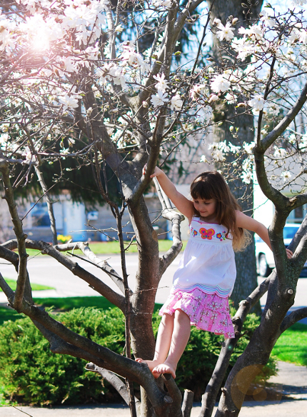 Little Girl in a Star Magnolia Tree