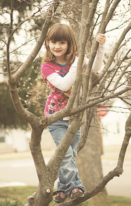 Little Girl in a Tree