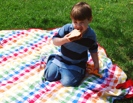 Picnic Lunch