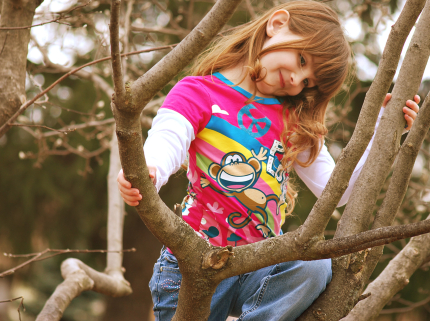 Playing in a tree