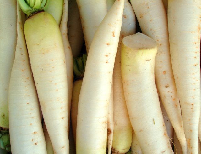 daikon