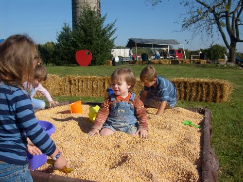 parker in corn sand box
