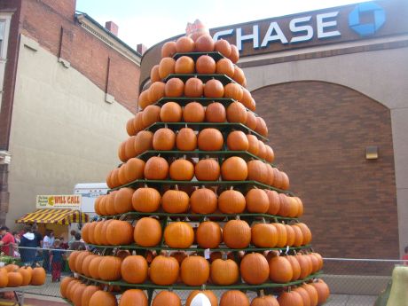 pumpkins