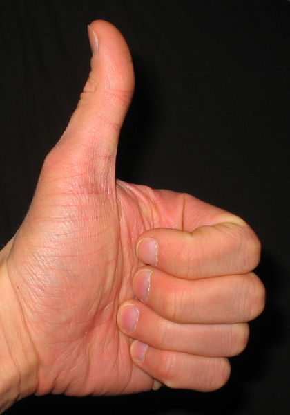 Thumbs Up!