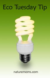 tuesday eco tip
