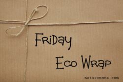 friday wrap up