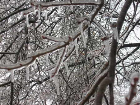 snow storm