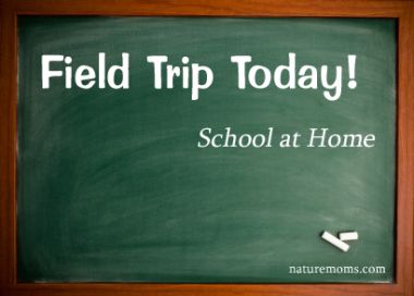 Field trip today