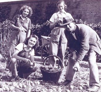 gardening in a freedom garden
