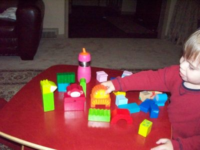 Bausteine Eene, Meene, Zoo blocks