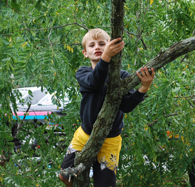 climbing trees