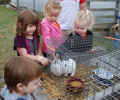 Petting the Bunnies
