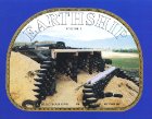 earthship book