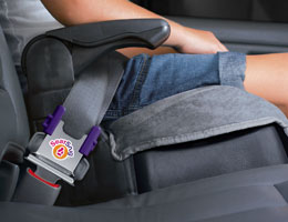 Seat Snug