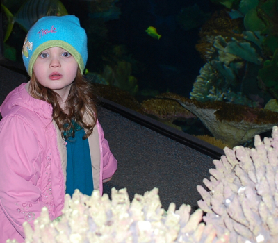 Paige at the Zoo