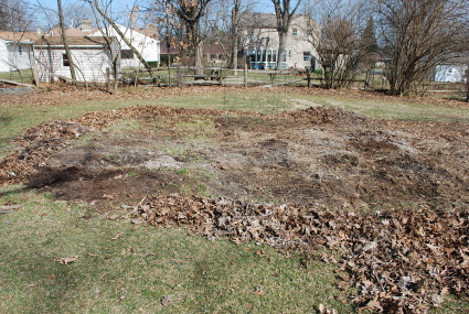 Garden Bed