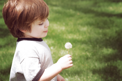 Picking Dandelions