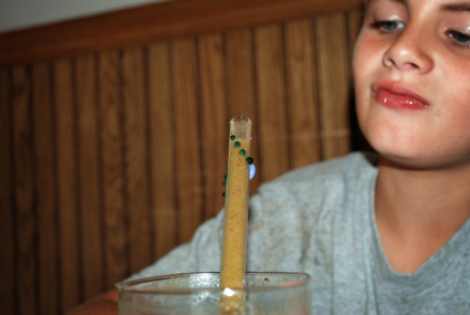 Glass Straw