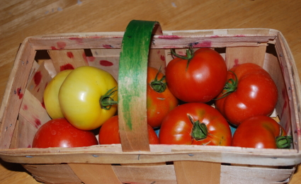 Red and Yellow Tomatoes