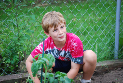 In the Garden