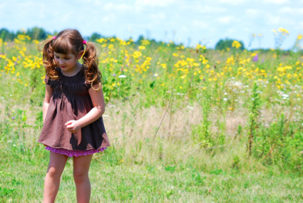 Walking Among Wildflowers