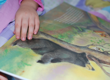 Bearly There book