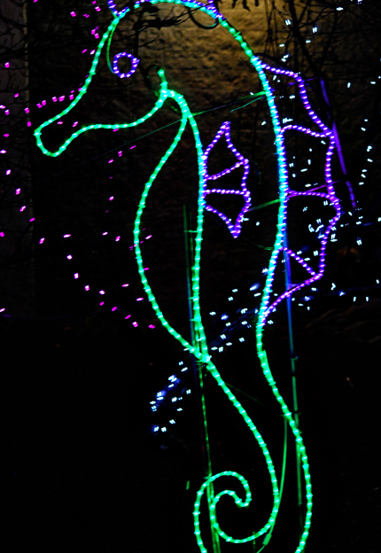 Seahorse at Zoo Lights