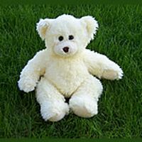 Tofu Teddy Bear