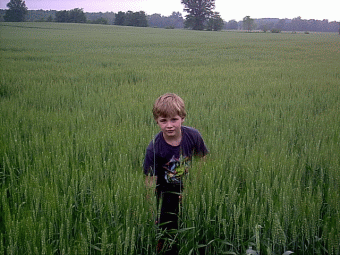 Playing in the Wheat Field